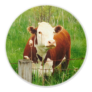 Bouton De Porte En Céramique Vache Brown mignonne 4Jojo