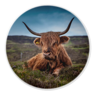 Bouton De Porte En Céramique Vache de Highland