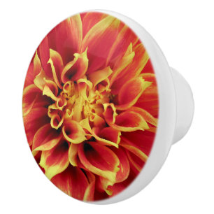 Bouton De Porte En Céramique Vivid Orange Dahlia Closeup Drawer Knower
