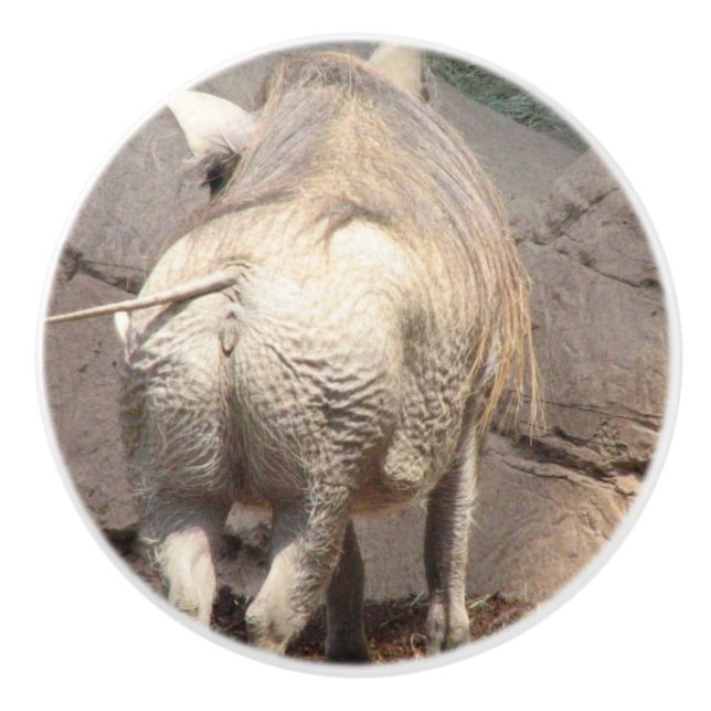 Bouton De Porte En Céramique Warthog (Devant)