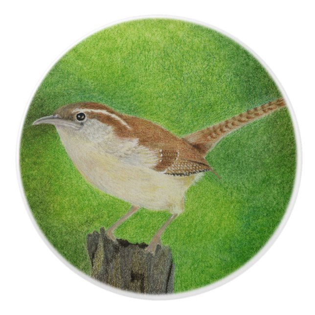 Bouton De Porte En Céramique Wren (Devant)