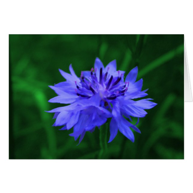 Bouton du baccalauréat (Devant horizontal)