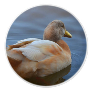 Bouton en céramique de canard