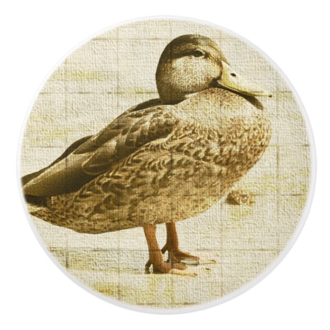 Bouton en céramique de canard (Devant)