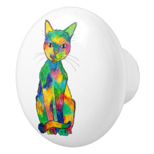 Bouton en céramique de chat d'arc-en-ciel