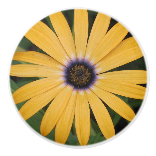 Bouton en céramique de marguerite jaune (Devant)