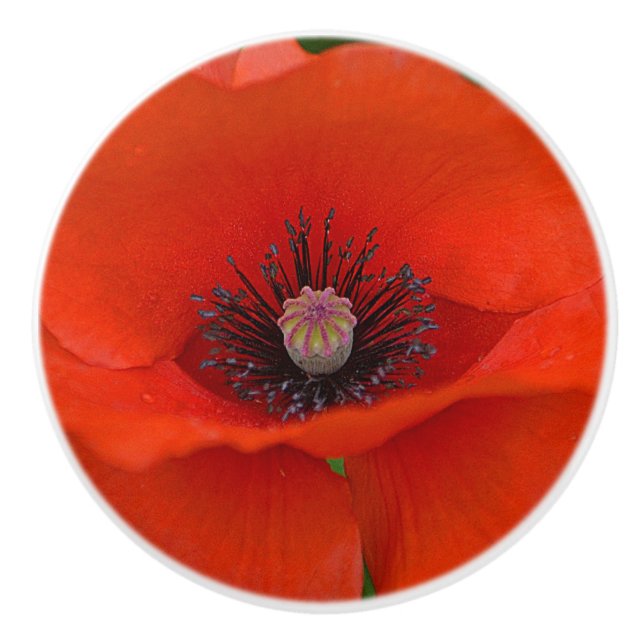 Bouton en céramique de pavot (Devant)