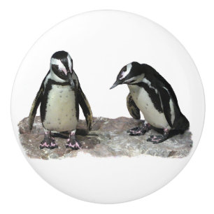 Bouton en céramique de pingouins