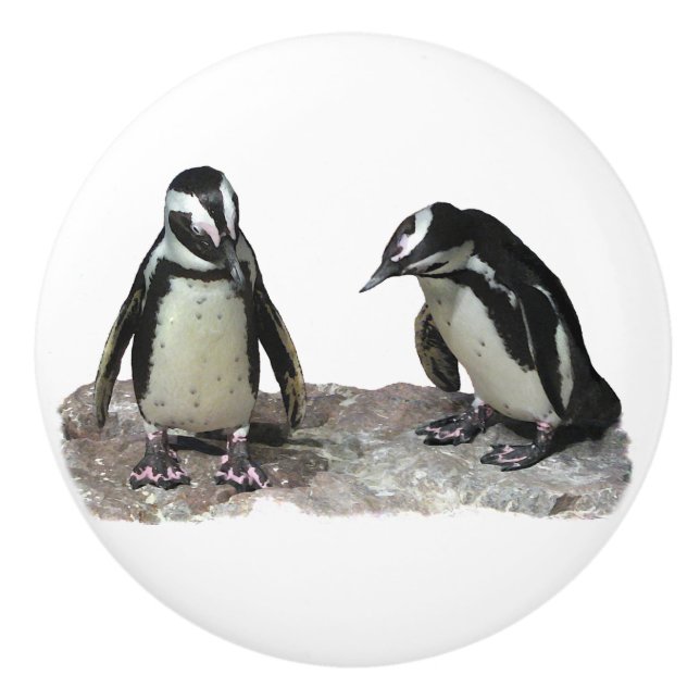 Bouton en céramique de pingouins (Devant)