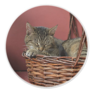 Bouton en céramique de Sleeping Kitty