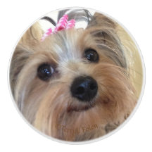 Bouton en céramique fait sur commande de Yorkie