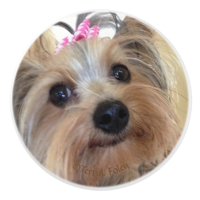 Bouton en céramique fait sur commande de Yorkie (Devant)