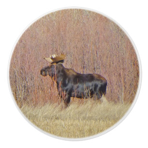 Bouton en céramique personnalisé Bull Moose