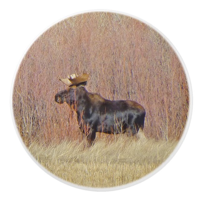 Bouton en céramique personnalisé Bull Moose (Devant)