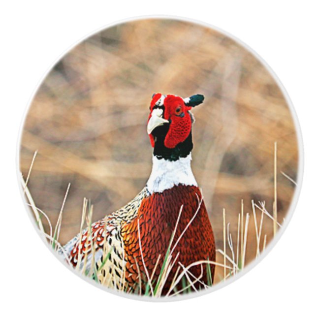 Bouton en céramique personnalisée Pheasant à cou c (Devant)
