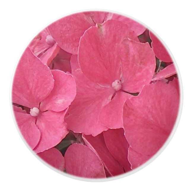 Bouton en céramique rose Hydrangea Blossoms (Devant)