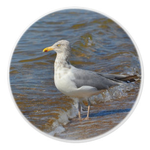 Bouton en céramique Seagull