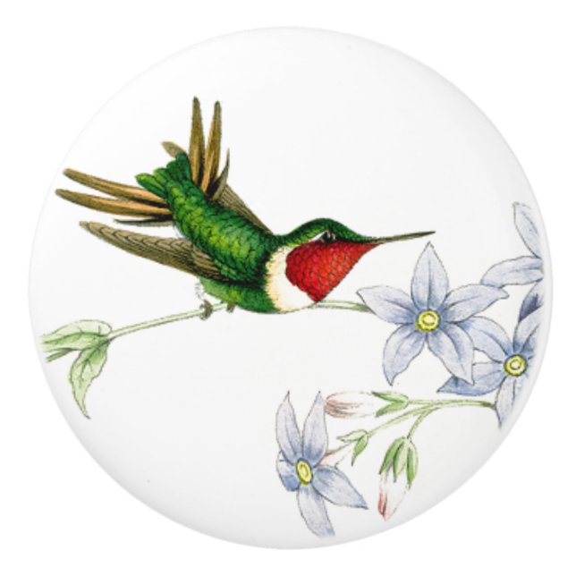 Bouton floral animal de faune d'oiseau de colibri (Devant)