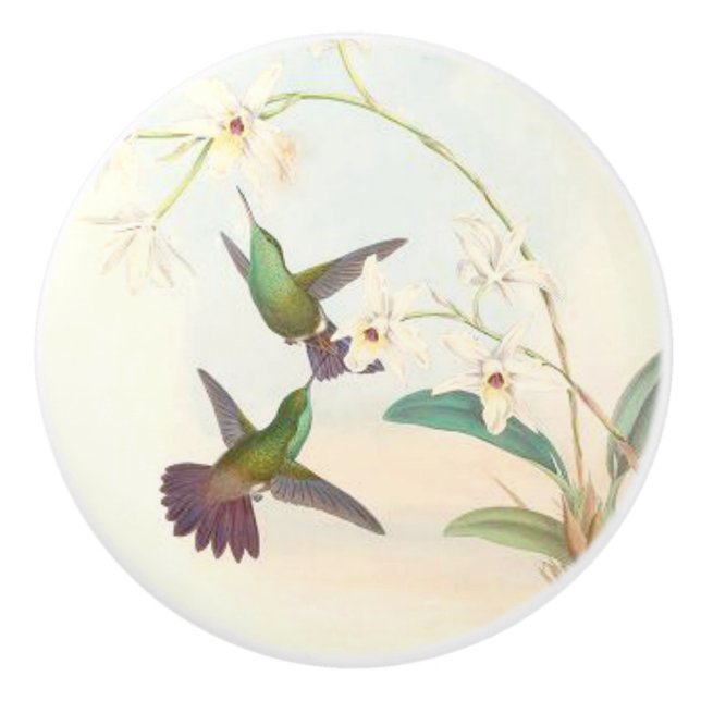 Bouton floral d'animaux de faune d'oiseaux de (Devant)