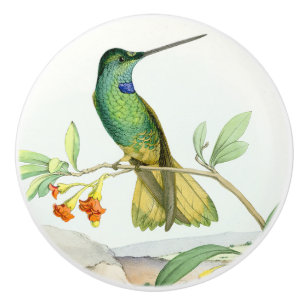 Bouton floral de jardin de fleur d'oiseau de