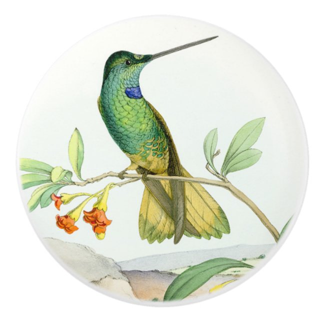 Bouton floral de jardin de fleur d'oiseau de (Devant)