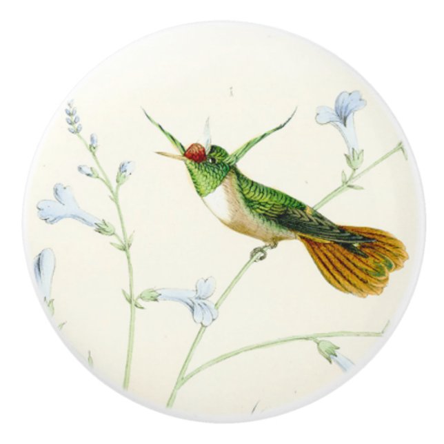 Bouton floral de jardin de fleur d'oiseau de (Devant)