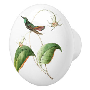 Bouton floral de jardin de fleur d'oiseau de