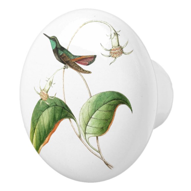 Bouton floral de jardin de fleur d'oiseau de (Droite)