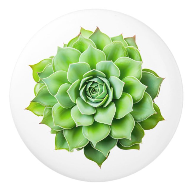 Boutons de céramique fleurie (Devant)