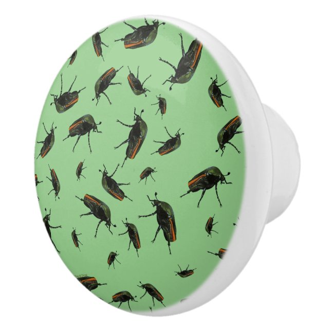 Boutons de insectes (Droite)