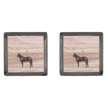 Cheval du désert P8664