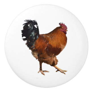 Boutons de porte de coq