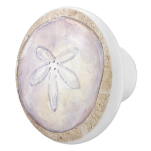 Boutons de tiroirs en coquille de mer de plage - S