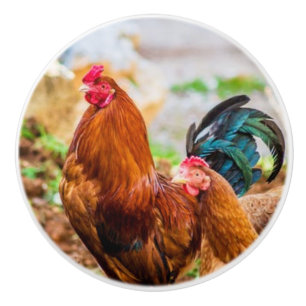 boutons en céramique de coq