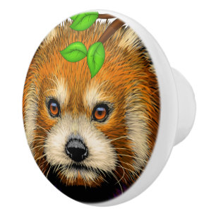 Boutons en céramique Panda Rouge Cute