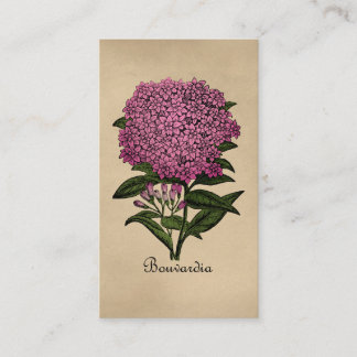 Bouvardia Vintag Botanical Visitenkarte