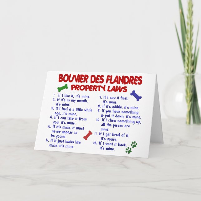 BOUVIER DES FLANDRES-Eigenschaftengesetze 2 Karte (Vorderseite)