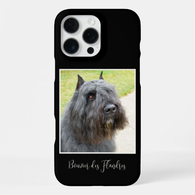 Bouvier des Flandres Foto iPhone 16 Pro Max Hülle (Rückseite)