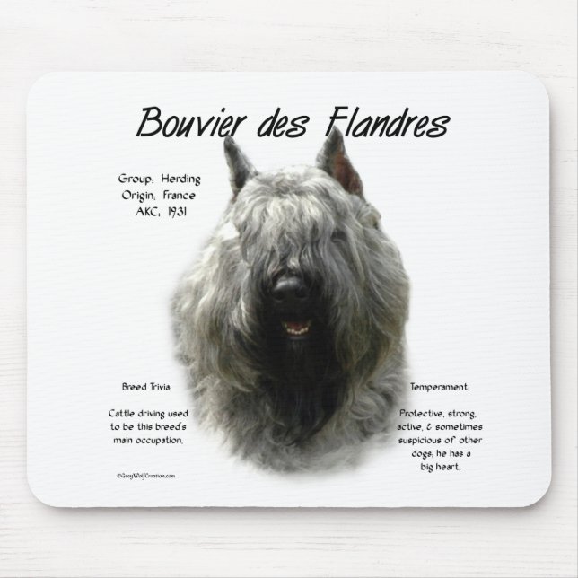 Bouvier des Flandres Geschichtsdesign Mousepad (Vorne)