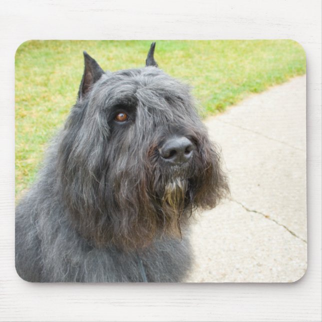 Bouvier des Flandres Mousepad (Vorne)