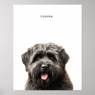 Bouvier Des Flandres Personalisiert Print Poster
