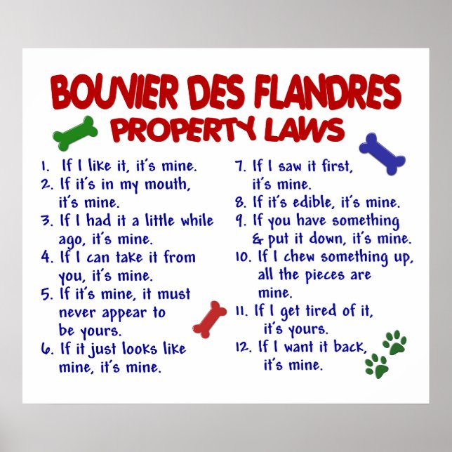 BOUVIER DES FLANDRES PL2 POSTER (Vorne)