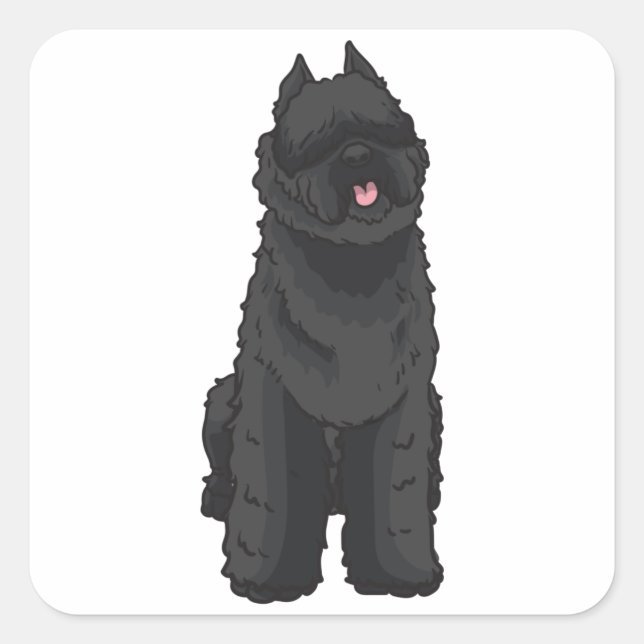 Bouvier des Flandres Quadratischer Aufkleber (Vorderseite)