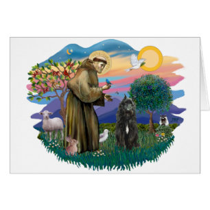 Bouvier des Flandres (schwarz)