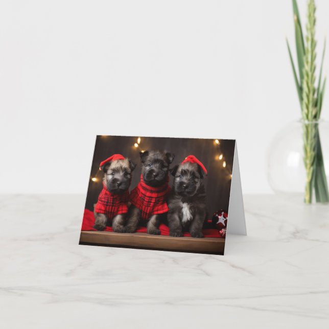 Bouvier des Flandres Welppies Weihnachtskarte Karte (Vorderseite)