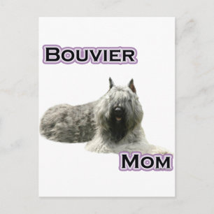 Bouvier Mama 4 Postkarte