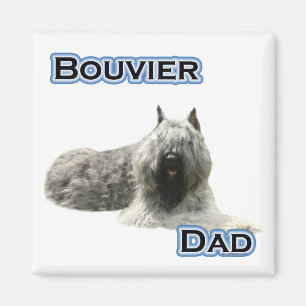 Bouvier Vater 4 - Magnet