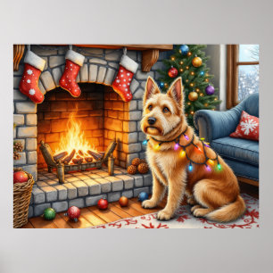 Bouviers des Flandres Weihnachtsbeleuchtung am Kam Poster