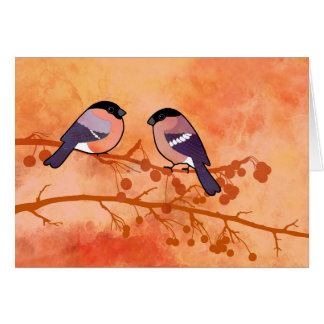 Bouvreuil (pyrrhula de Pyrrhula)