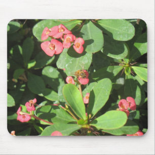 Bouzz ! Tapis de souris
